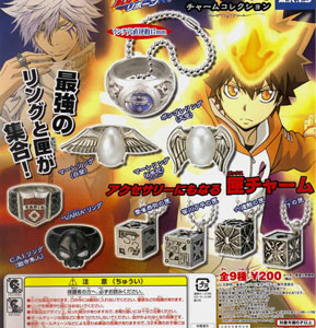 Gashapon Anime Katekyo Hitman REBORN! Ring and Box Charm Collection