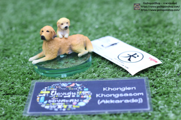 3.Gashapon Yujin Dog Part 1 – Golden Retriever