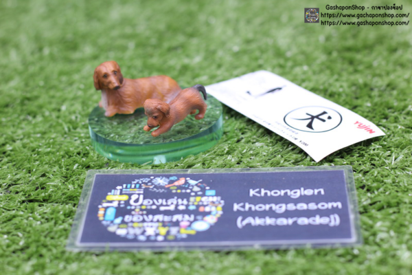 6.Gashapon Yujin Dog Part 1 - Miniature Dachshund (Long)