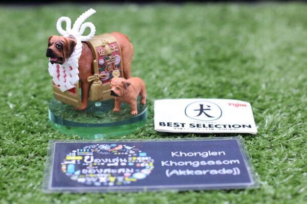 9.Gashapon Yujin Dog Best Selection – Tosa Inu