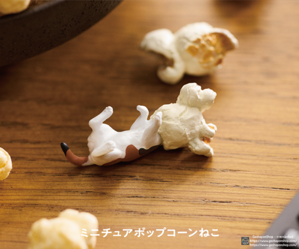 4.Gashapon Panda ‘s Ana Miniature Cat – Popcorn Cat