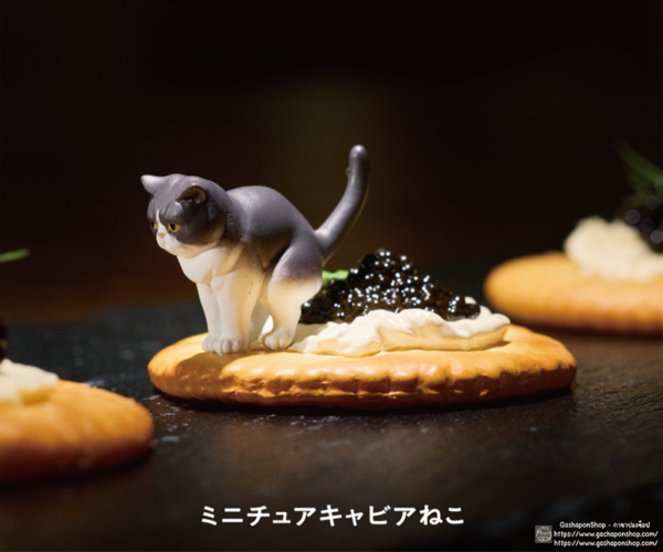 5.Gashapon Panda ‘s Ana Miniature Cat – Caviar Cat