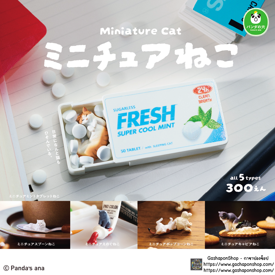 Gashapon Panda 's Ana Miniature Cat